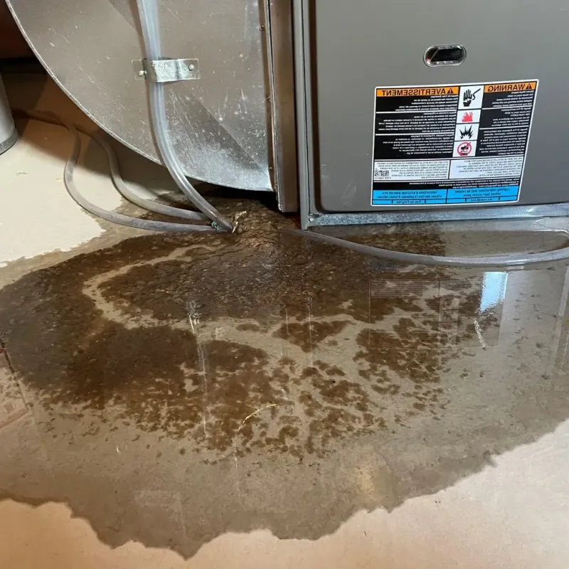 Pipe Burst and Leak Restoration in Kenai, AK